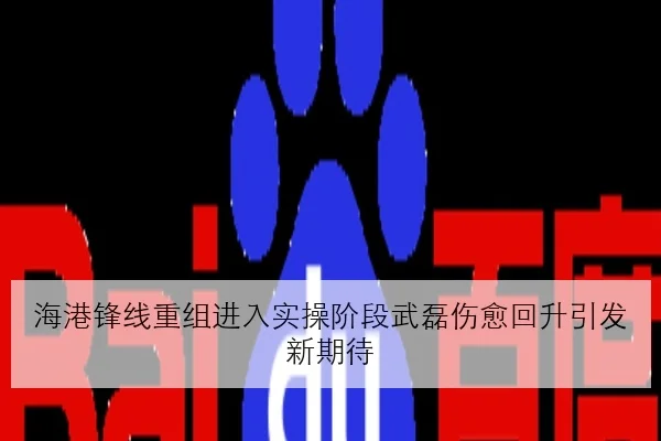 海港锋线重组进入实操阶段武磊伤愈回升引发新期待